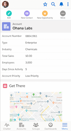 saleforce-screen2