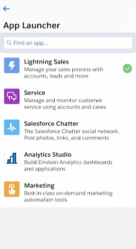 saleforce-screen3