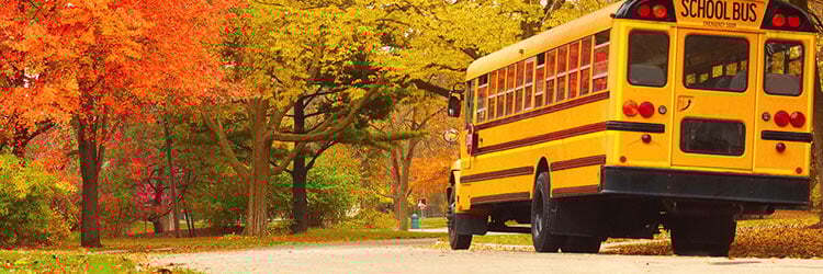 driving_the_school_bus_forward