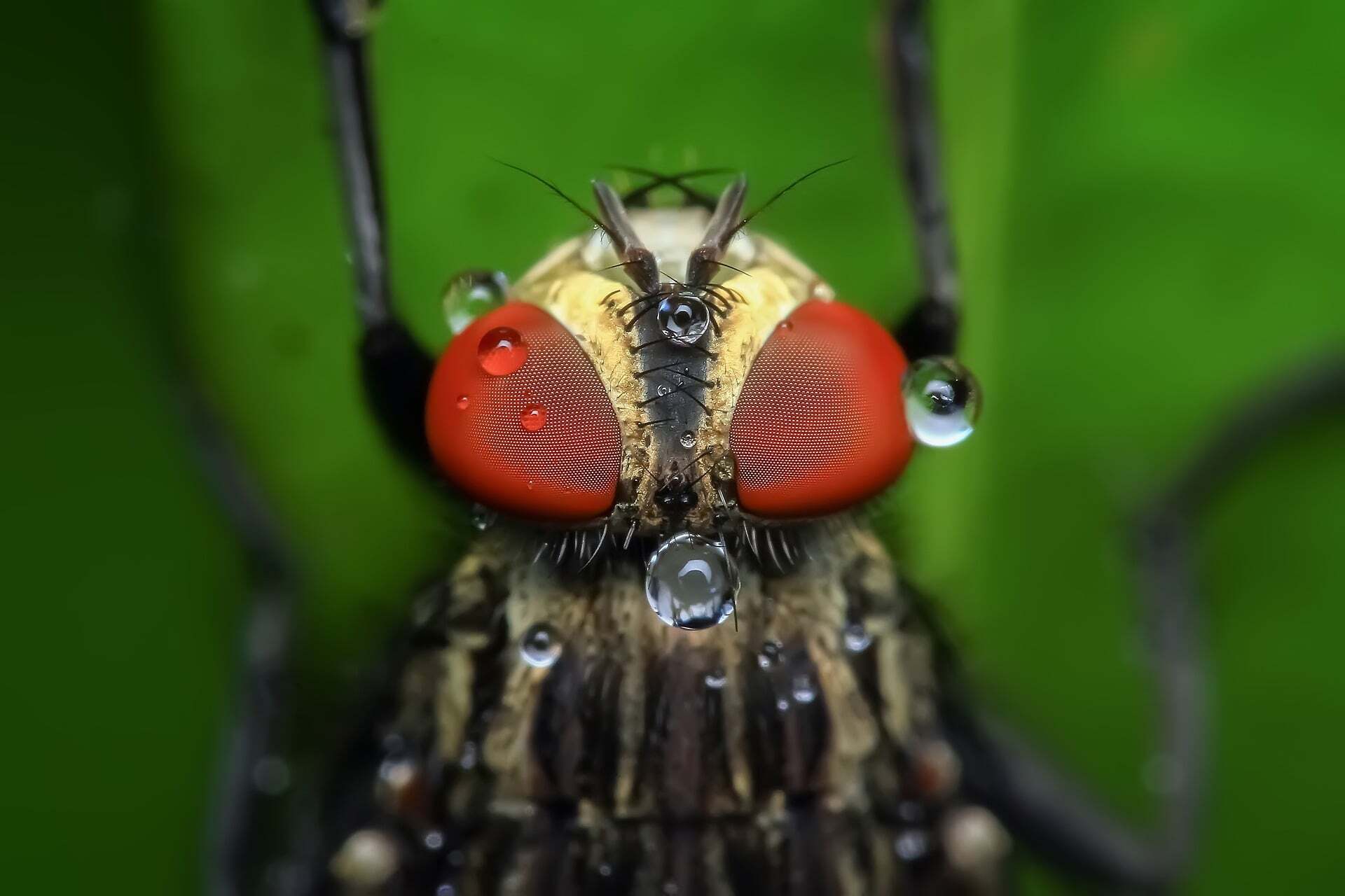 featured image