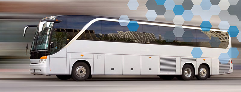 Stout's Transportation